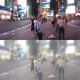 Illustration for article titled These images show just how differently cats and humans see the world